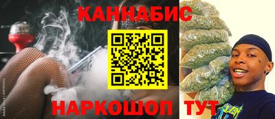 гидропоника Сланцы
