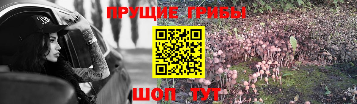 Переславль-Залесский  Псилоцибиновые грибы мицелий  Вход с VPN 